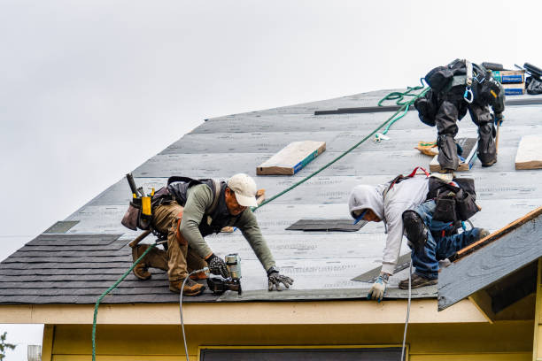 Professional Roofing technician working in Rainier, WA